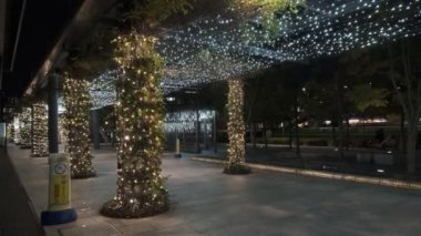 Tokyo Toyosu Night View December 2021