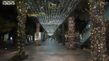 Tokyo Toyosu Night View December 2021