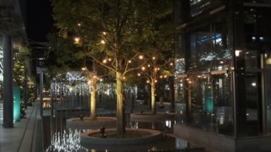 Tokyo Toyosu Night View December 2021