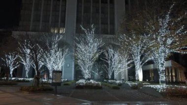 Tokyo Toyosu Night View December 2021