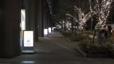 Tokyo Toyosu Night View December 2021