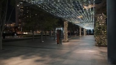 Tokyo Toyosu Night View December 2021
