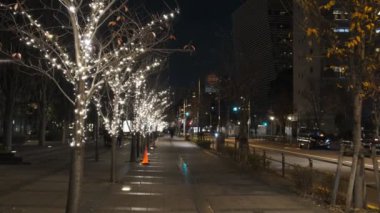 Tokyo Toyosu Night View December 2021
