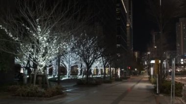 Tokyo Toyosu Night View December 2021