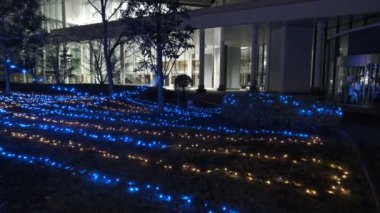 Tokyo Toyosu Night View December 2021