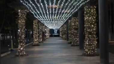 Tokyo Toyosu Night View December 2021