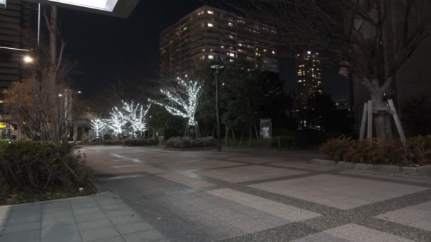 Tokyo Toyosu Night View December 2021 — стоковое видео