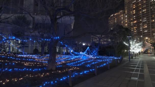 Tokyo Toyosu Night View December 2021 — Vídeos de Stock