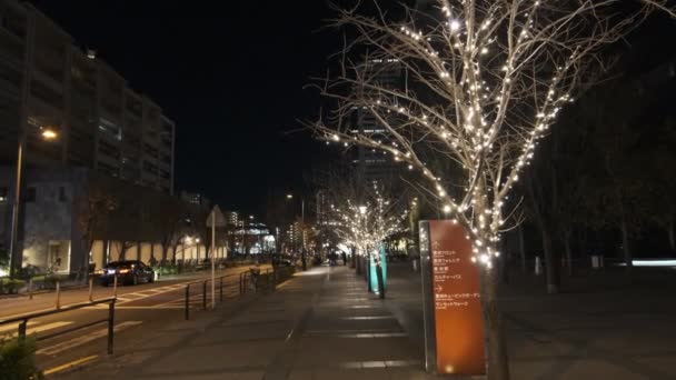 Tokyo Toyosu Night View December 2021 — Stok video