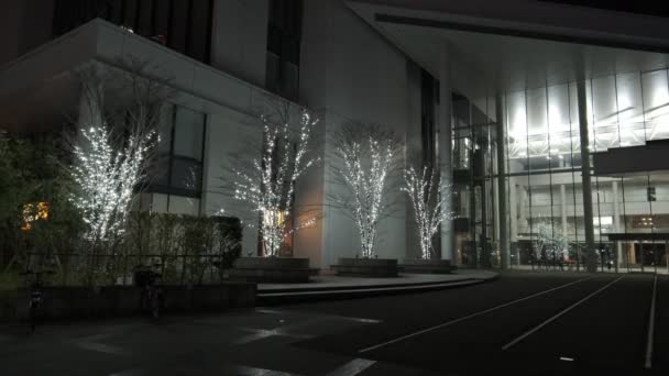 Tokyo Toyosu Night View December 2021 — Vídeos de Stock