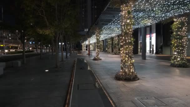Tokyo Toyosu Night View December 2021 — Αρχείο Βίντεο