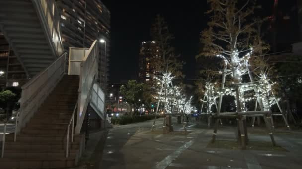 Tokyo Toyosu Night View December 2021 — Stok video