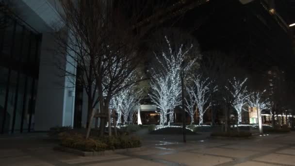 Tokyo Toyosu Night View December 2021 — Αρχείο Βίντεο