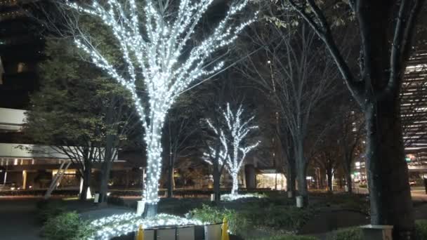 Tokyo Toyosu Night View December 2021 — ストック動画
