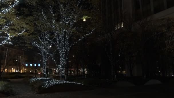 Tokyo Toyosu Night View Δεκέμβριος 2021 — Αρχείο Βίντεο