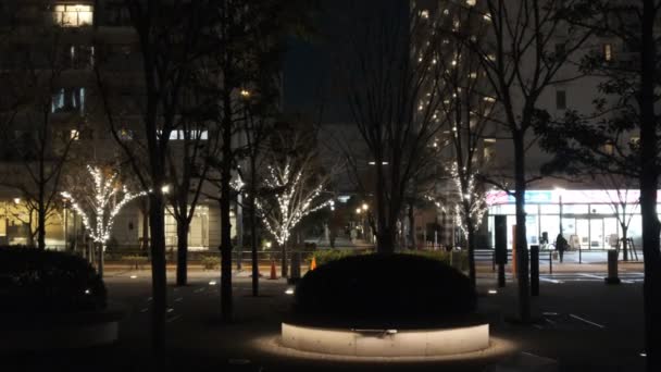 Tokyo Toyosu Night View December 2021 — Vídeo de Stock