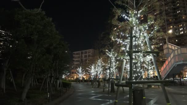 Tokyo Toyosu Night View December 2021 — Video