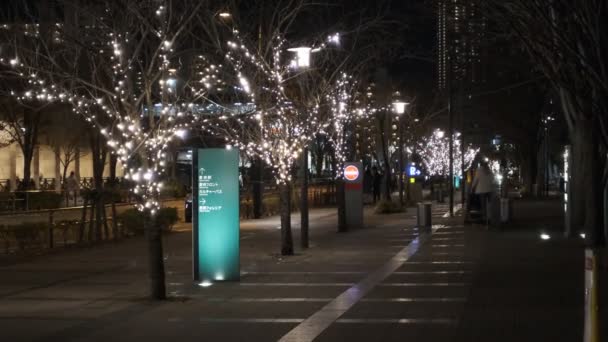 Tokyo Toyosu Night View Δεκέμβριος 2021 — Αρχείο Βίντεο