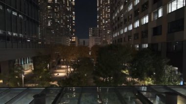 Tokyo Toyosu Night View December 2021