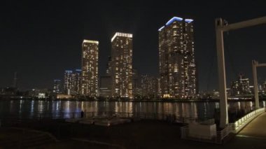 Tokyo Toyosu Night View December 2021