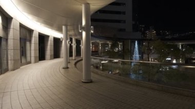 Tokyo Toyosu Night View December 2021