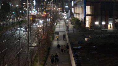 Tokyo Toyosu Night View December 2021