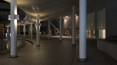 Tokyo Toyosu Night View December 2021