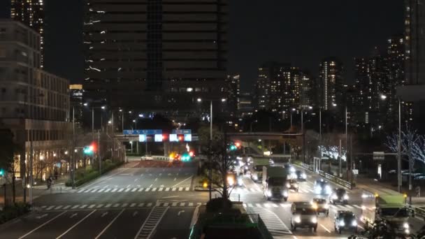 Tokyo Toyosu Night View December 2021 — стоковое видео