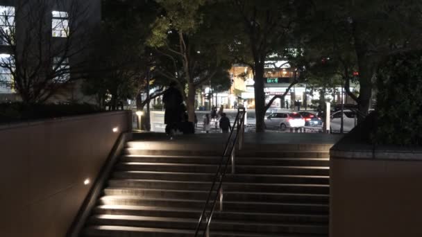 Tokyo Toyosu Night View December 2021 — 图库视频影像