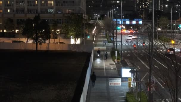 Tokyo Toyosu Night View December 2021 — 图库视频影像