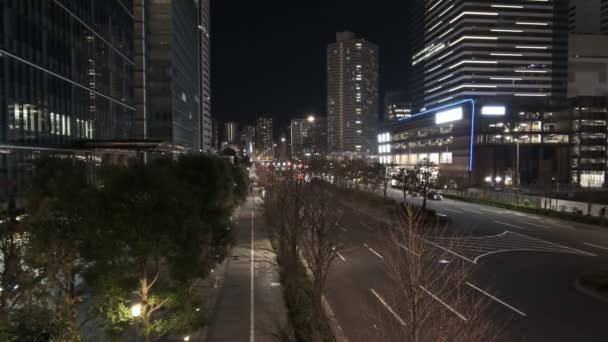 Tokyo Toyosu Night View December 2021 — Video Stock