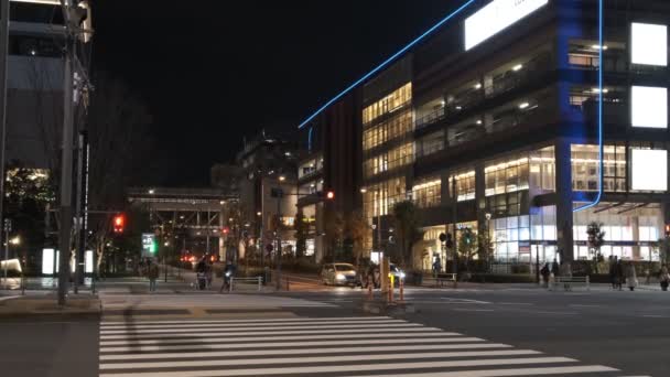 Tokyo Toyosu Vista Nocturna Diciembre 2021 — Vídeo de stock