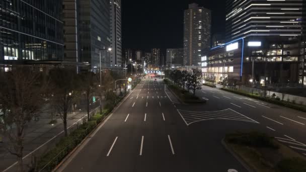 Tokyo Toyosu Night View December 2021 — Vídeos de Stock