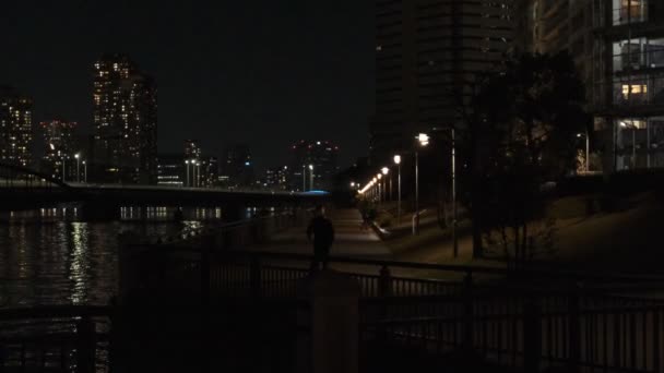 Tokyo Toyosu Night View December 2021 — 비디오