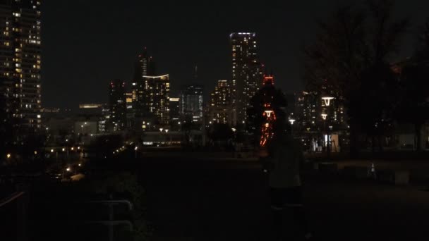 Tokyo Toyosu Night View December 2021 — стоковое видео