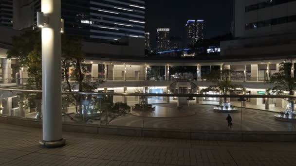 Tokyo Toyosu Night View 2021 — 비디오