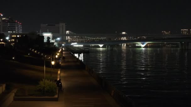 Tokyo Toyosu Night View December 2021 — 图库视频影像