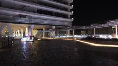 Tokyo Toyosu Night View December 2021