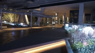 Tokyo Toyosu Night View December 2021
