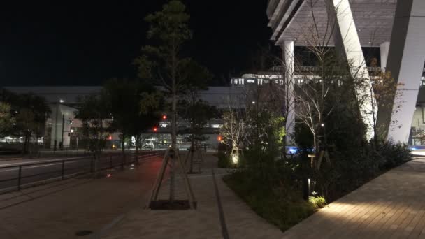 Tokyo Toyosu Night View December 2021 — стокове відео
