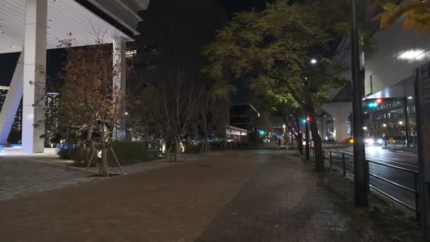 Tokyo Toyosu Vista Nocturna Diciembre 2021 — Vídeos de Stock
