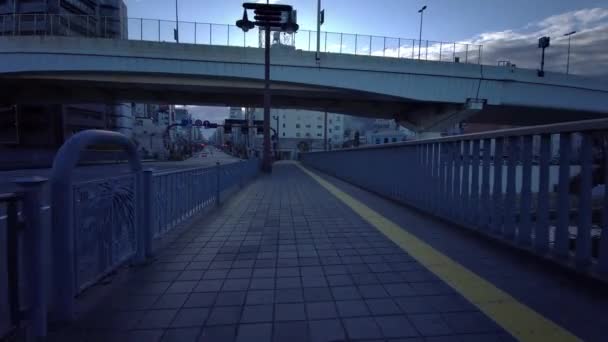 Tokyo Cycling Dash Cam Driving Recorder — Stock videók
