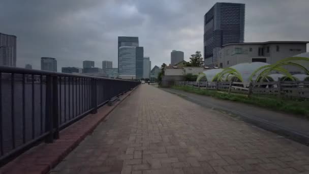 Tokio Ciclismo Guion Cam Grabadora Conducción — Vídeos de Stock