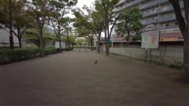 Tokyo cycling dash cam driving recorder