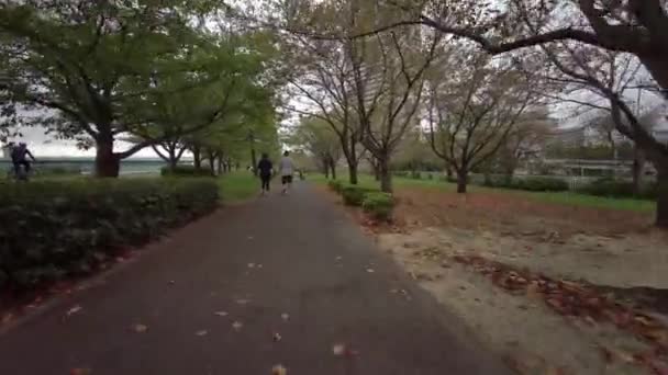 Tokio Ciclismo Guion Cam Grabadora Conducción — Vídeo de stock