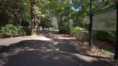 Tokyo cycling dash cam driving recorder