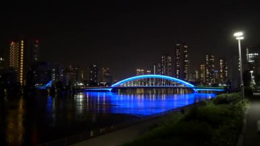 Tokyo gece görüşünde köprü