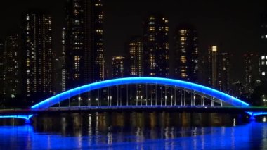 Tokyo gece görüşünde köprü