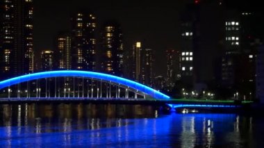 Tokyo gece görüşünde köprü