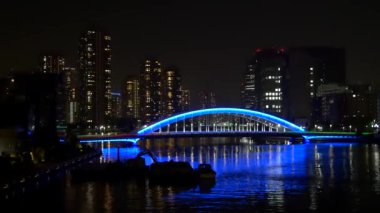 Tokyo gece görüşünde köprü